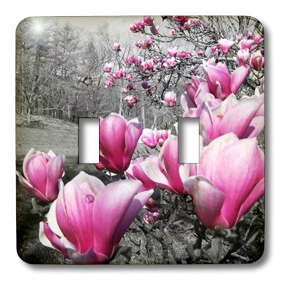 3dRose LLC lsp_20496_2 Spring Featuring Pink Flowering Blossoms in a Black and White Picture Double Toggle Switch
