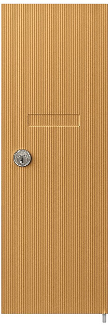 Salsbury Industries 3551BRS Replacement Door and Lock for Vertical Mailbox with Keys, Brass