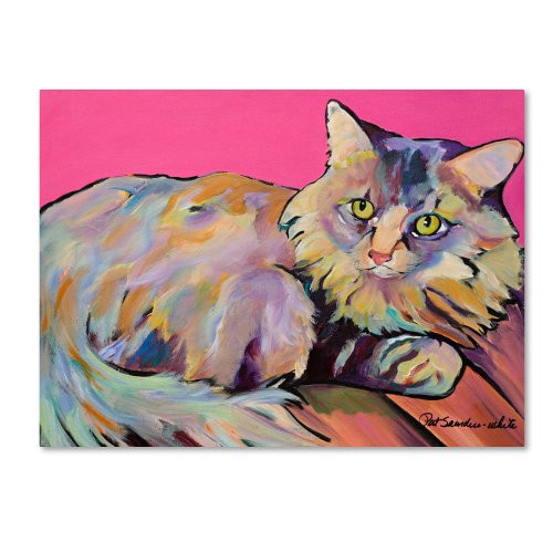 Catatonic  by Pat Saunders, 26 by 32-Inch Canvas Wall Art