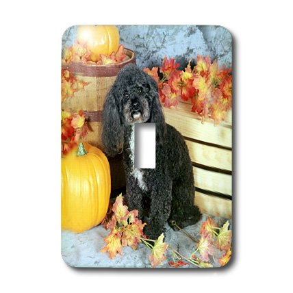 3dRose lsp_1012_1"Toy Poodle Black" Single Toggle Switch