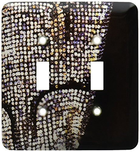 3dRose LLC lsp_119734_2 Trendy Glitter On Black Double Toggle Switch