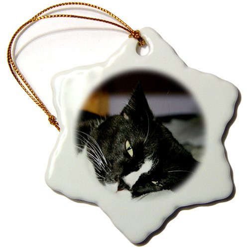 3dRose ORN_156276_1 Tuxedo Cat Black and White Lying Down One Eye Open Snowflake Ornament, Porcelain, 3-Inch