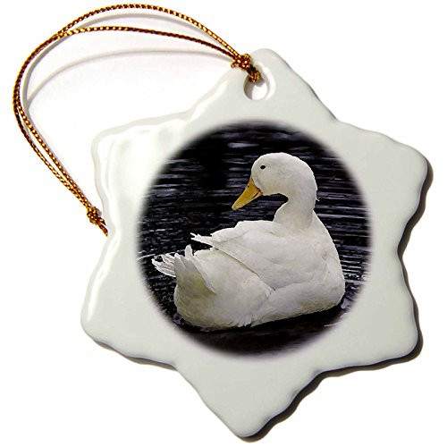 3dRose White Pekin Duck Snowflake Porcelain Ornament, 3-Inch