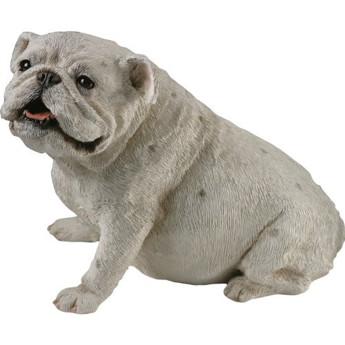Sandicast Original Size Senior White Bulldog Sculpture - Sitting