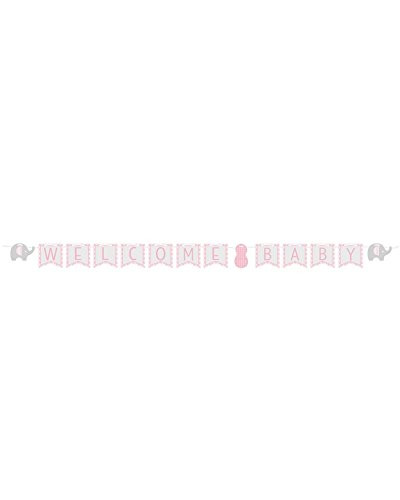 Creative Converting Little Peanut Girl Banner Party Supplies, Multicolor