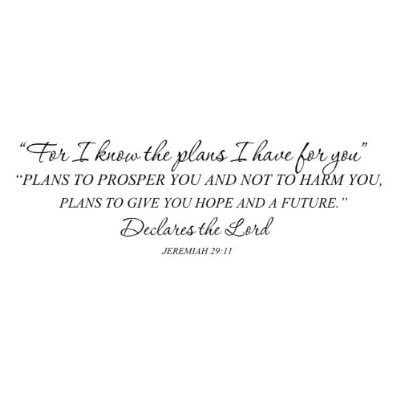 Wheeler3Designs Jeremiah 29:11"For I know the plans I have for you (32x10) Bible verse wall.