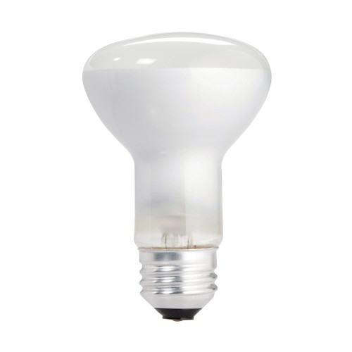 Philips 223131 30-Watt R20 DuraMax Indoor Flood Light Bulb 12 Pack