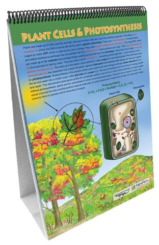 NewPath Learning 10 Piece All About Plants Curriculum Mastery Flip Chart Set, Grade 5-10
