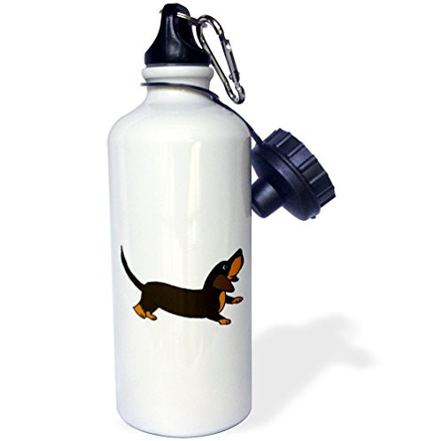 3dRose Funny Crouching Dachshund Puppy Dog Ready to Play-Sports Water Bottle, 21oz (wb_201814_1), 21 oz, Multicolor 3dRose Funny Crouching Dachshund Puppy Dog Ready to Play-Sports Water Bottle, 21oz (wb_201814_1), 21 oz, Multicolor