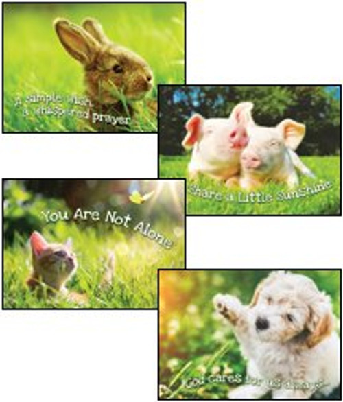 Fur Baby Love - KJV Scripture Greeting Cards - Boxed - Encouragement
