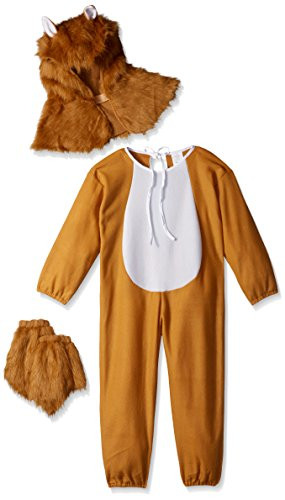 RG Costumes Lion Costume, Child Medium/Size 8-10