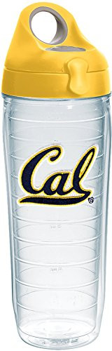 Tervis 1231325 Cal Bears Logo Insulated Tumbler with Emblem and Yellow Lid, 24oz Water Bottle, Clear