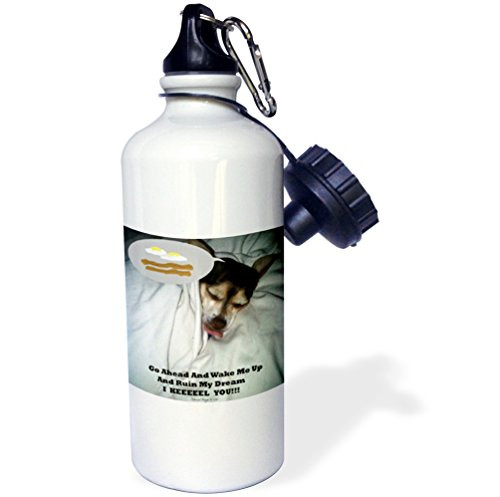 3dRose wb_38822_1 Dreaming Chihuahua Sports Water Bottle, 21 oz, White
