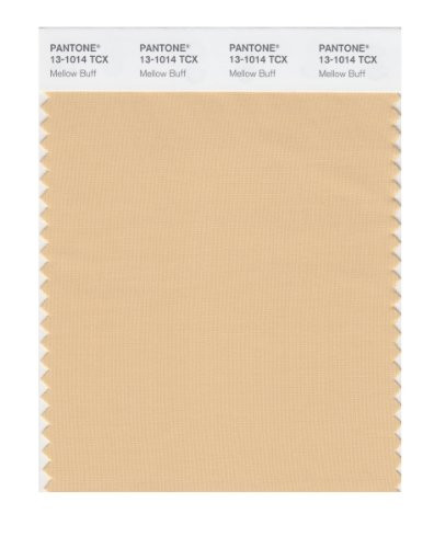 PANTONE Smart 13-1014X Color Swatch Card, Mellow Buff