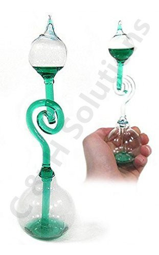C&H Solutions Colorful Office Thinking Hand Boiler, Glass Science Energy Transfer, Children Science Experiment, Love Birds Color Meter Hand Boiler (Green) By