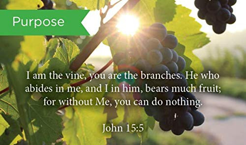 Pass Along Pocket Scripture Cards, Purpose, John 15:5, Pack of 25