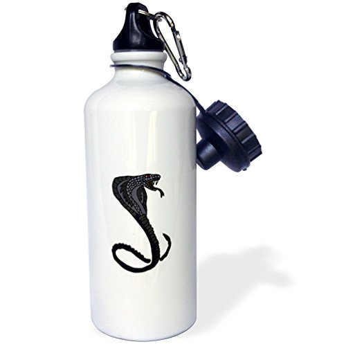 3dRose Awesome Cobra Snake-Sports Water Bottle, 21oz (wb_196096_1), 21 oz, Multicolor