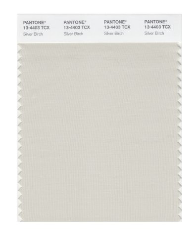 PANTONE Smart 13-4403X Color Swatch Card, Silver Birch