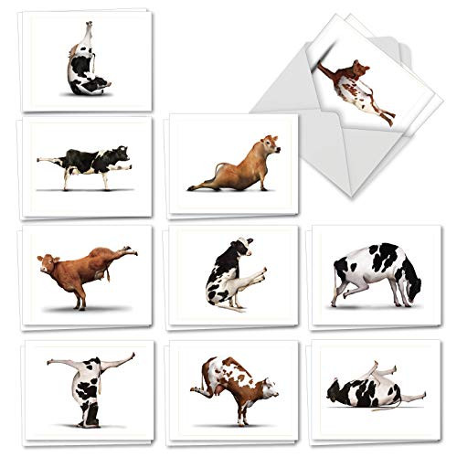 Bovine Nirvana: 20 Assorted All Occasions Greeting Cards (Mini 4 x 5.12 inch) Featuring a Flexible Cow Perfecting a Yoga Pose, with Envelopes. AM6545OCB-B2x10