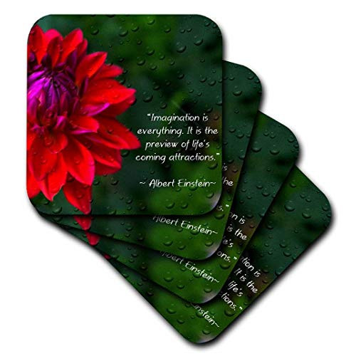 3dRose cst_157332_1 An Inspirational Print with a Quote by Albert Einstein and a Beautiful Dahlia Flower-Soft Coasters, Set of 4 3dRose cst_157332_1 An Inspirational Print with a Quote by Albert Einstein and a Beautiful Dahlia Flower-Soft Coasters, Set of 4