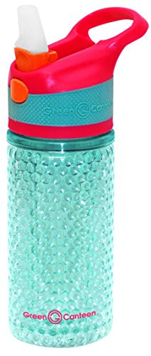 Green Canteen DWTBGK-400-PAA Double Wall Tritan Plastic Hydration Bottle with Beaded Freeze Gel, Sippy Cap and Silicone Band, 12 oz, Pink/Aqua