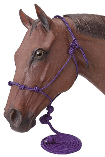 Tough 1 Poly Rope Halter W/Knots & 14Ft Lead, Purple