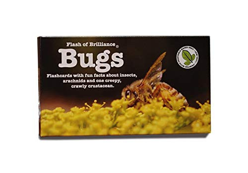 Flash of Brilliance Bug Flash Cards with Fun Facts Flash of Brilliance Bug Flash Cards with Fun Facts