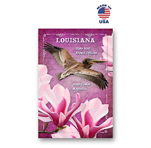 LOUISIANA BIRD AND FLOWER postcard set of 20 identical postcards. LA state symbols post cards. Made in USA.