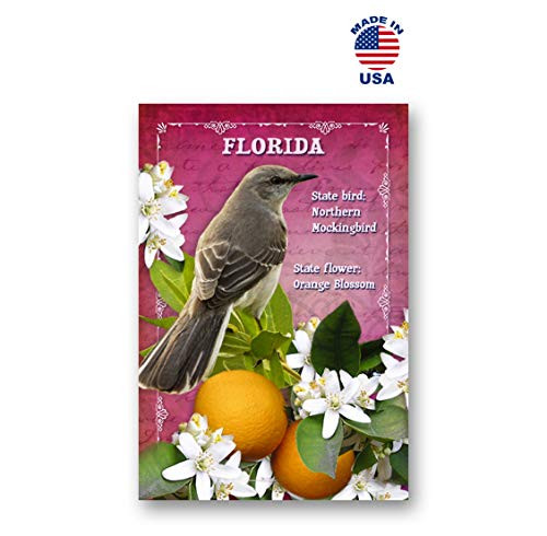 FLORIDA BIRD AND FLOWER postcard set of 20 identical postcards. FL state symbols post cards. Made in USA.