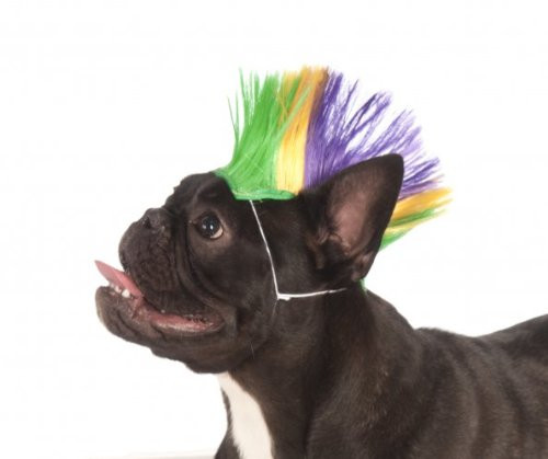 Rubie's Costume Co Mardi Gras Pet Mohawk Wig, Medium/Large