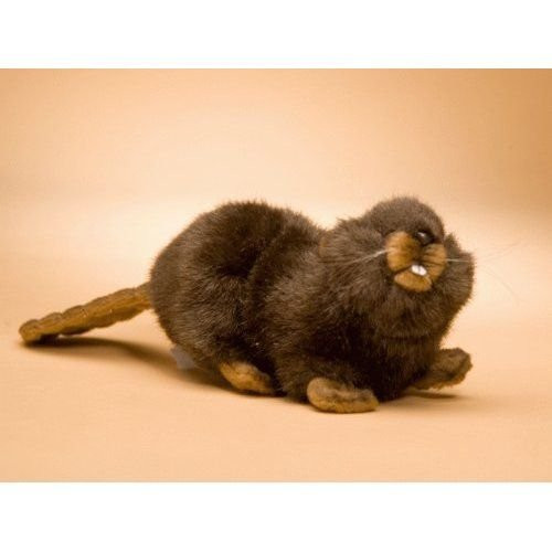 Hansa Baby Beaver Plush Hansa Baby Beaver Plush