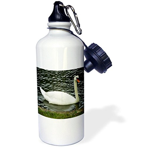 3dRose Beautiful Swan-Sports Water Bottle, 21oz (wb_202510_1), 21 oz, Multicolored