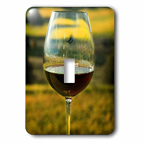 3dRose lsp_93801_1 Wine Glass, Willamette Valley Vineyards, Oregon-US38 JMI0817-Janis Miglavs Single Toggle Switch Multicolor