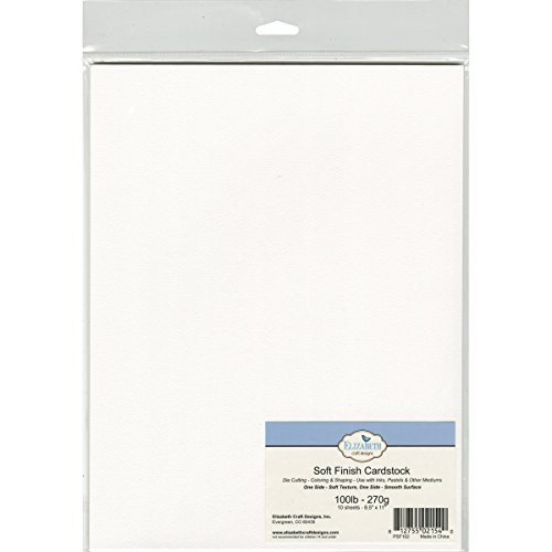 Elizabeth Crafts Soft Finish Cardstock 100lb 8.5"x11" 10/pkg-white
