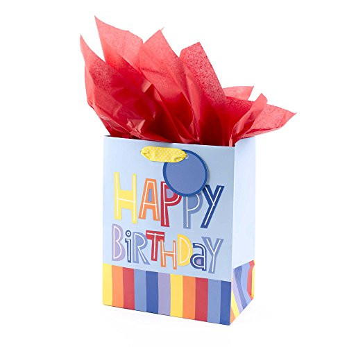 Hallmark Medium Gift Bag with Tissue Paper (Happy Birthday, Rainbow Stripes)