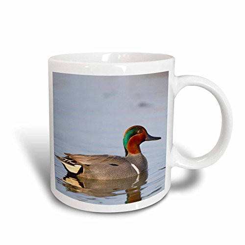 3dRose 206101_1"Hoodoos, Sunset Point, Amphitheater, Bryce Canyon Np, Utah, US" Mug 11 oz Green