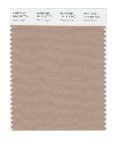 PANTONE Smart 16-1318X Color Swatch Card, Warm Taupe