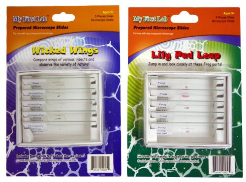 My First Lab Prepared Slide Set Combo Pack - Lily Pad Leap & Wicked Wings