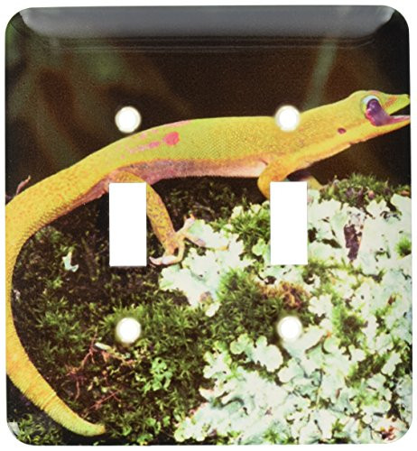 3dRose lsp_83861_2 Gold Dust Day Gecko Licking Eye Lizard Na02 Dno0254 David Northcott Double Toggle Switch