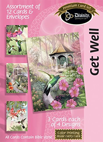 Divinity Boutique Greeting Card Assortment: Get Well, Hummingbirds (21242N)