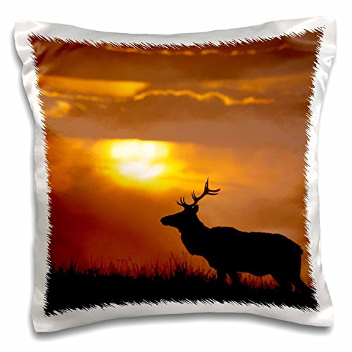 3dRose pc_142705_1 Use, California, Tule Elk Wildlife, Point Reyes Us05 Gre0093 Gerry Reynolds Pillow Case, 16" x 16"