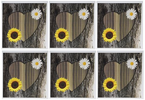 3dRose Greeting Cards, 6 x 6 Inches, Pack of 6, Wood Image Heart with Sunflower and Daisy (gc_181828_1)