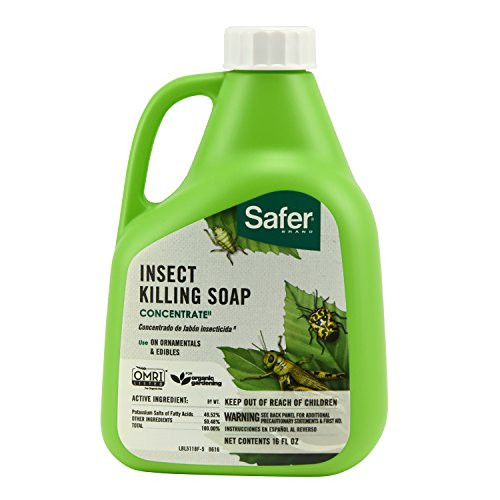 Safer Brand 5118 Insect Killing Soap - 16-Ounce Concentrate Safer Brand 5118 Insect Killing Soap - 16-Ounce Concentrate