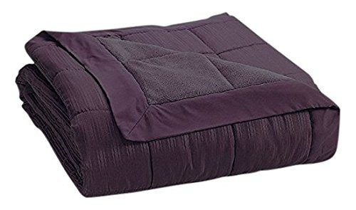 JBFF 250 Thread Count Microfiber Reverse to Fleece Goose Down Alternative Blanket, Full/Queen, Plum