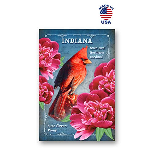 INDIANA BIRD AND FLOWER postcard set of 20 identical postcards. IN state symbols post cards. Made in USA.