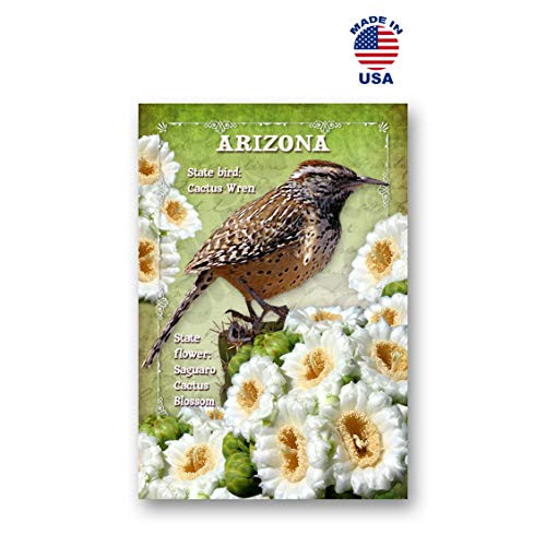 ARIZONA BIRD AND FLOWER postcard set of 20 identical postcards. AZ state symbols post cards. Made in USA.