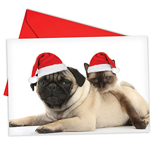 12 'Copy Cats Pug' Boxed Christmas Cards with Envelopes 4.63 x 6.75 inch, Funny Puppy and Kitty Christmas Notes, Holiday Dog and Cat Cards, Adorable Christmas Stationery B6596CXSG 12 'Copy Cats Pug' Boxed Christmas Cards with Envelopes 4.63 x 6.75 inch, Funny Puppy and Kitty Christmas Notes, Holiday Dog and Cat Cards, Adorable Christmas Stationery B6596CXSG
