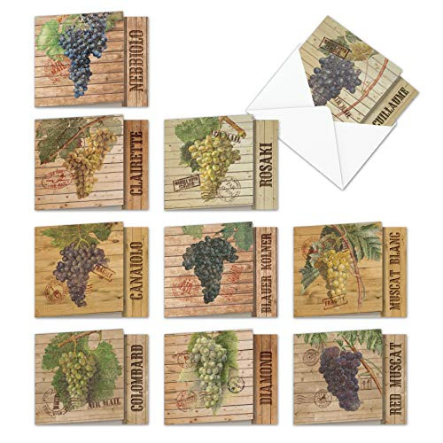 Through The Grapevine - 10 Blank Vintage Note Cards with Envelopes (4 x 5.12 Inch) - Boxed Assortment of All-Occasion Wine, Fruit Greeting Cards - Bulk All Occasion Notecard Set MQ4603OCB-B1x10