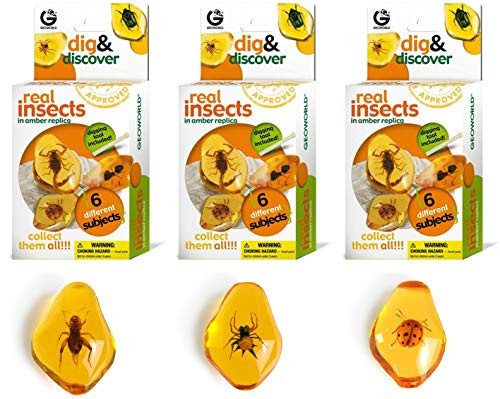 Geoworld Real Insects Dig and Discover (Set 2)