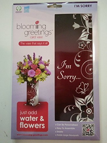 I'm Sorry Card Vase the Vase That Says It All